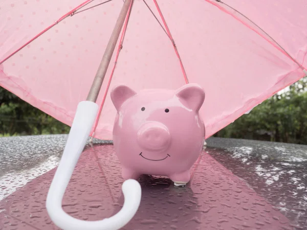 Pink Piggy bank with umbrella On a rainy day Saving money for any storm problem will come concept for finance, insurance, protection, investment or banking