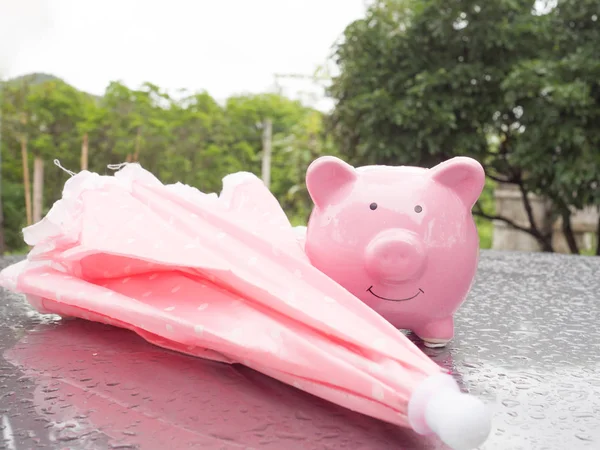 Pink Piggy bank with umbrella On a rainy day Saving money for any storm problem will come concept for finance, insurance, protection, investment or banking