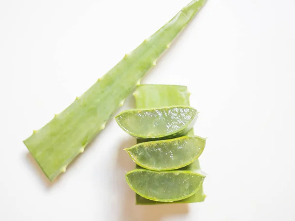 Aloe vera star cactus slide Isolated on a white background — Stock Photo, Image