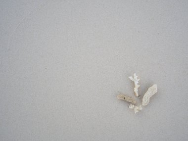 İnce kum ve beyaz mercan hayal ettiğiniz gibi metin yazmak için arka planı kullanabilir