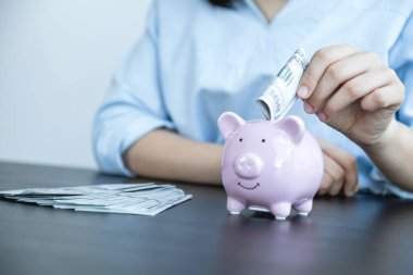 Kadın domuz kumbarasına dolar banknotları koyuyor, başarılı olmak için iş kuruyor, gelecek planı ve emeklilik fonu konsepti için para biriktiriyor..