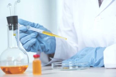 Doktor pipeti tut ve sarı kimyasal sıvıyı laboratuardaki viral ve bakteriyel hastalıkların tedavisi için araştırma ve analiz için bir petri kabına at..