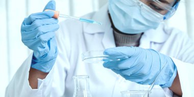 Bilim adamları pipeti tutuyor ve araştırma ve analiz için mavi kimyasal sıvıyı laboratuvara bırakıyorlar..