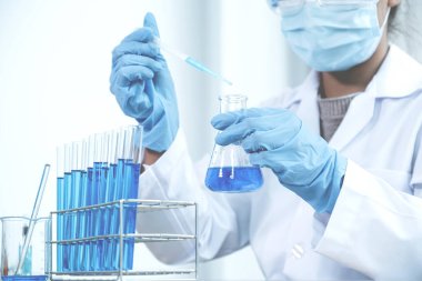 Bilim adamları pipeti tutuyor ve araştırma ve analiz için mavi kimyasal sıvıyı laboratuvara bırakıyorlar..
