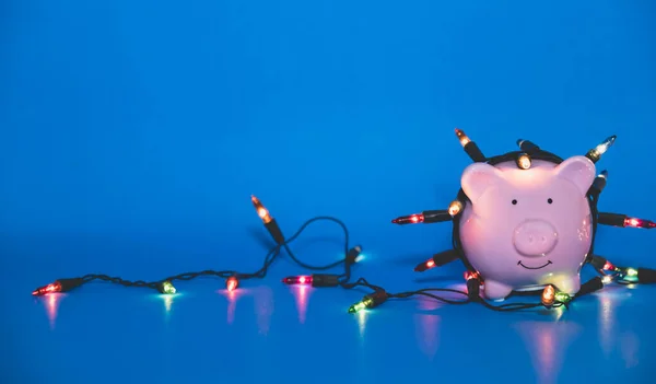 Fehér Malac Bank Karácsonyi Húros Lámpák Boldog Decemberi Fesztivál Élvezze — Stock Fotó