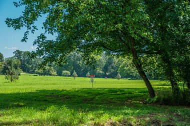 Pro disk golf sahası