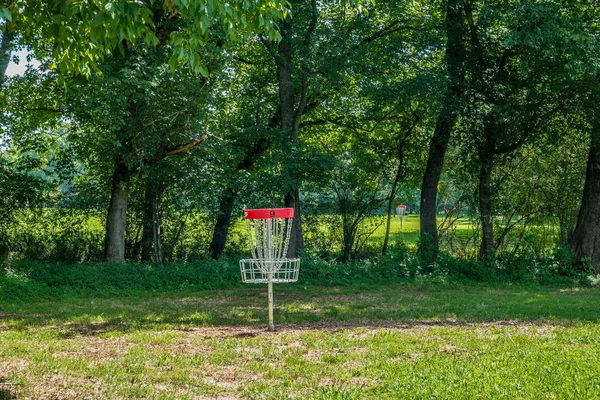 Pro disc golf basket