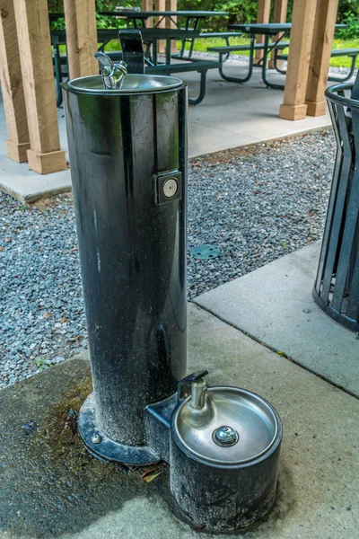 Outdoor drinking fountains for people and pets