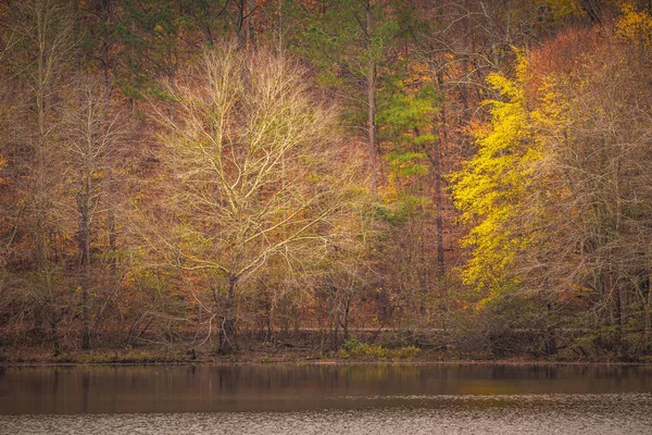 秋の木々の夕日の反射 — ストック写真
