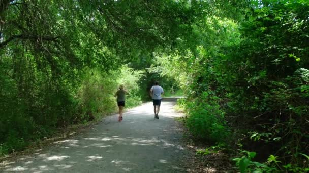 夏の暑い明るい晴れた午後に公園のトレイルで一緒に走るカップルは 背景に開かれた日差しの中に色合いの木の領域を通って実行しています — ストック動画