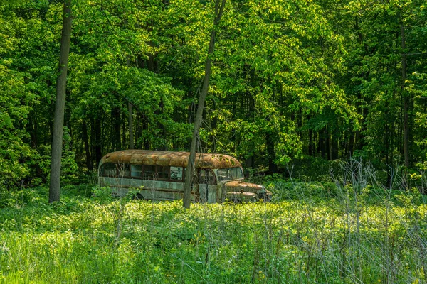 Abandonado ônibus da velha escola — Fotografia de Stock