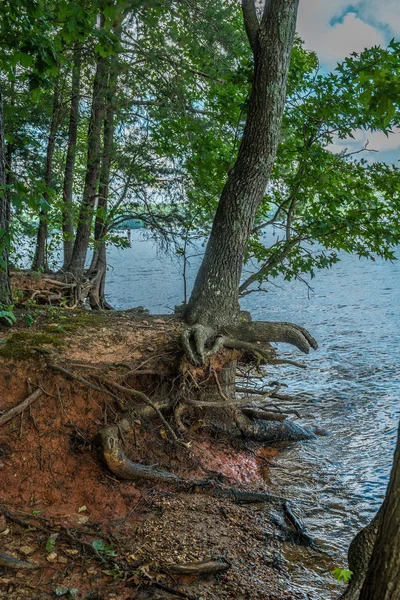 Érosion des rives du lac — Photo