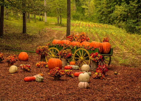 Decoratieve pompoen boerderij display in de herfst — Stockfoto