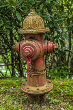 Kırsal yol kenarı eski yangın musluğu.