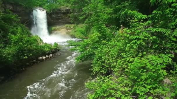 明尼苏达州明尼哈瀑布在一个温暖的夏日 在过去的一周里所有的雨中 瀑布快速而艰难地流进已经淹没的河流 瀑布周围绿树成荫 — 图库视频影像