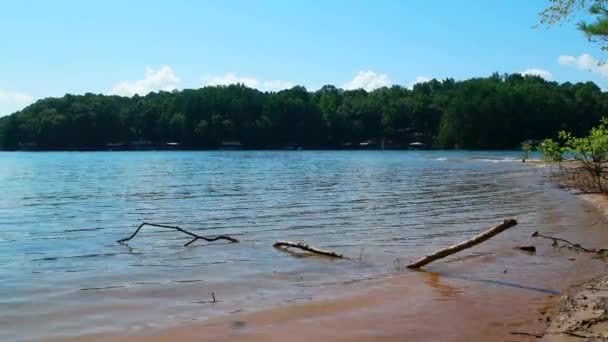 Ein Sommernachmittag See Der Ufer Steht Und Beobachtet Wie Die — Stockvideo