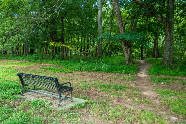 森の中の公園のベンチ — ストック写真