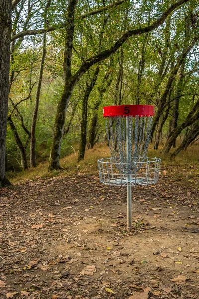 Disc golf korg — Stockfoto
