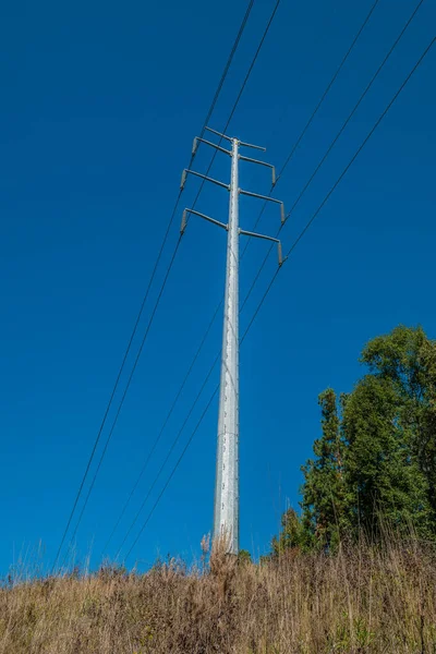 Tours de lignes électriques coupant à travers les arbres — Photo