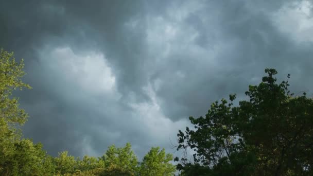Sudden Summer Thunderstorm Approaching Dark Clouds Starting Rotate Causing Windy — Stock Video