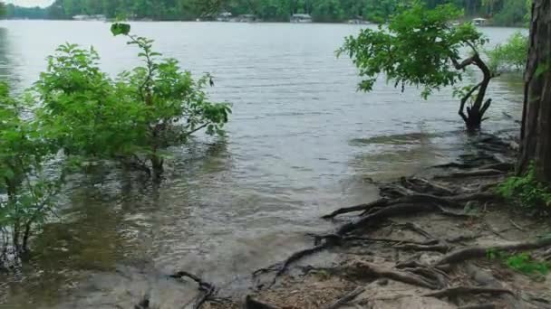 Ein Überschwemmtes Ufer Mit Sanft Plätscherndem Wasser Das Einem Trüben — Stockvideo