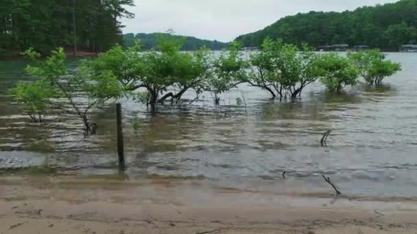 小灌木丛淹没在湖畔被洪水淹没的海岸线中 在海滩上荡漾着柔和的波涛 天空阴沉沉的 — 图库视频影像