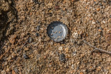 Güneşli bir yaz gününde göl kenarındaki kumların üzerinde duran tek bir bira ya da soda şişesi kapağı.