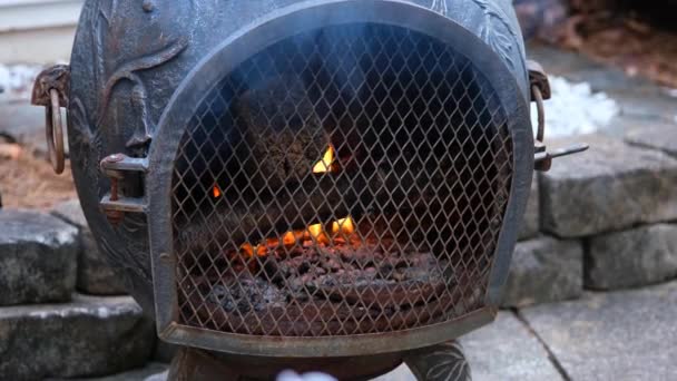 Ένα Μικρό Τζάκι Μια Χιμήνεια Έξω Στο Αίθριο Μια Φλεγόμενη — Αρχείο Βίντεο