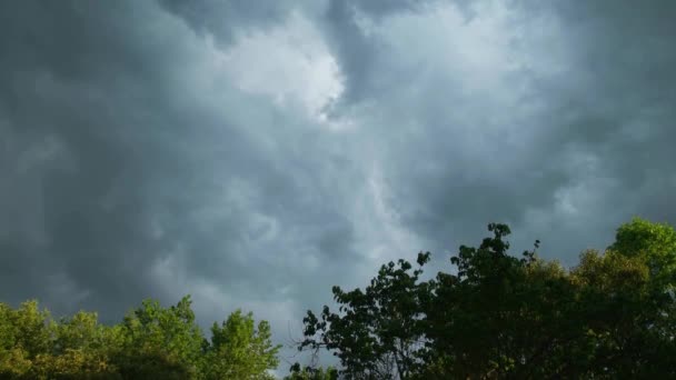 夏の日中に太陽の光が差し込む中 木々の周りを渦巻いていた嵐の雲の突然の風のバースト — ストック動画