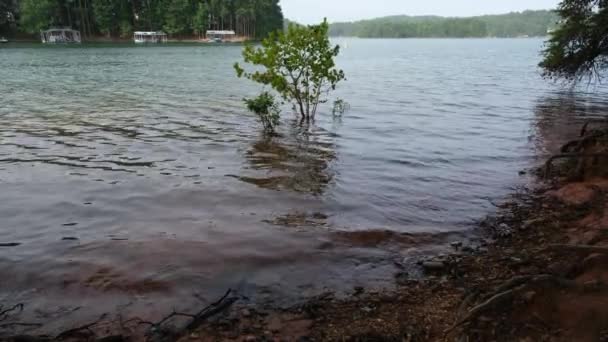 Stehen Überfluteten Ufer Des Sees Und Beobachten Das Plätschernde Wasser — Stockvideo