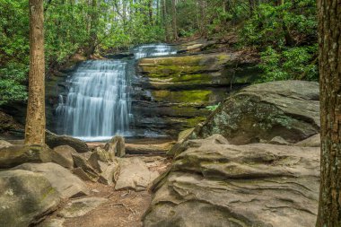 Long Creek Şelalesi, kuzey Georgia dağlarında yürüyüş yolları olan büyük kayalar ve ormanlarla çevrili manzaralı bir şelaledir.