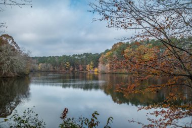 Parlak bulutlu bir günde sakin göl etrafında sonbaharın sonlarında renk dolu manzara.