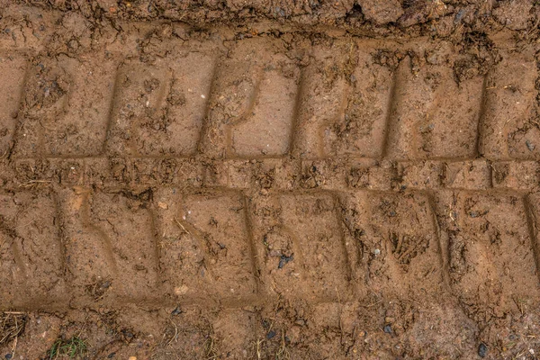 Κοιτώντας Από Κοντά Κομμάτια Μπουλντόζα Αποτυπωμένα Στη Λάσπη Ένα Εργοτάξιο — Φωτογραφία Αρχείου