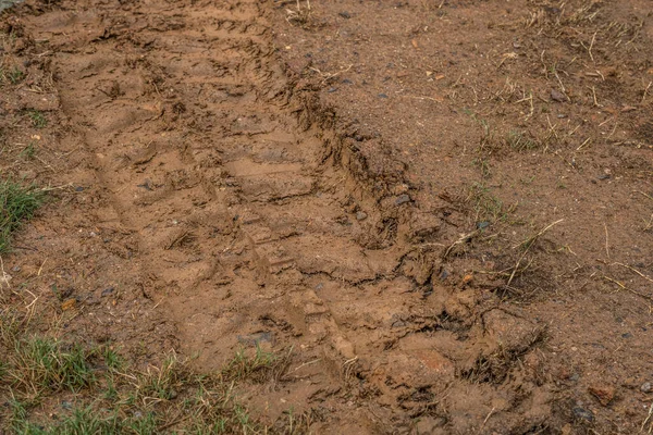 Μικρές Γραμμές Μπουλντόζα Στο Λασπώδες Χώμα Αφήνοντας Ένα Αποτύπωμα Στο — Φωτογραφία Αρχείου