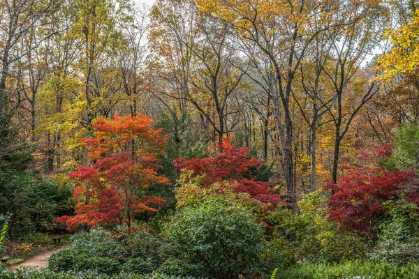 公園の秋の風景は 鮮やかな色の季節の変化の森を通って行く歩道に沿って座ってベンチで — ストック写真