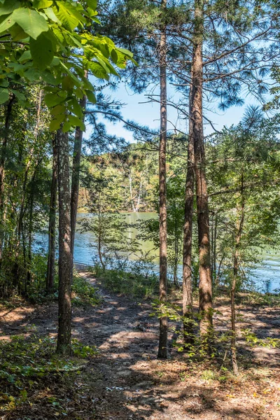 初秋の晴れた日には 森の木々に囲まれた湖につながるメインパスからサイドトレイル — ストック写真