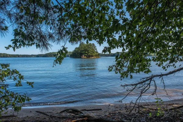 Uma Vista Abertura Sobre Trilhas Sombreadas Olhando Para Lago Com — Fotografia de Stock