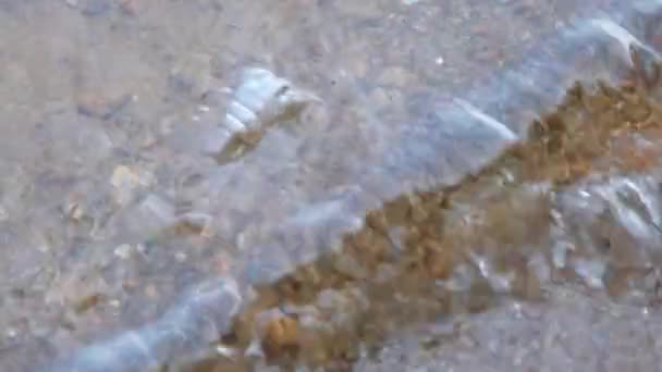 Sebuah Botol Plastik Bersih Dibuang Dalam Danau Yang Dilemparkan Sekitar — Stok Video