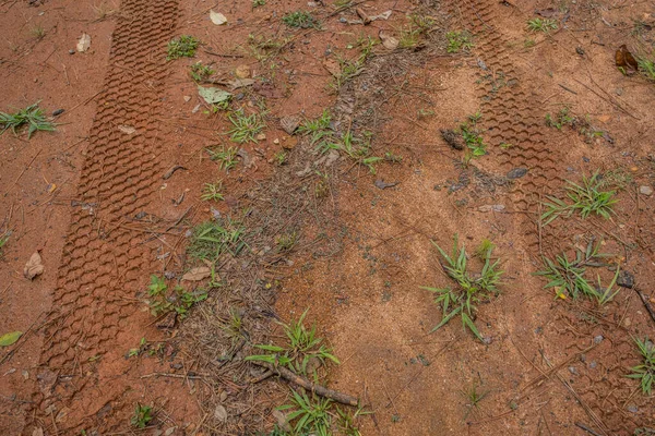 Μικρά Ίχνη Οχημάτων Αποτυπωμένα Στη Λάσπη Χώμα Από Πηλό Ζιζάνια — Φωτογραφία Αρχείου