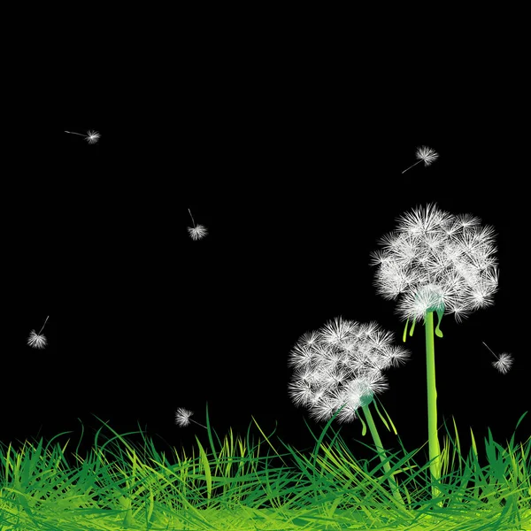 Одуванчики и трава в ночи — стоковый вектор