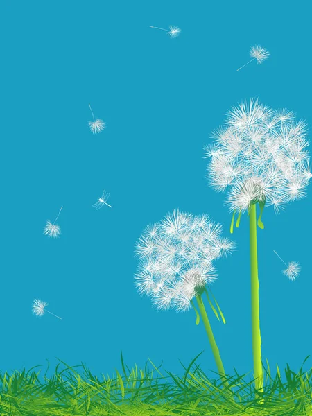 Paardebloemen en gras — Stockvector