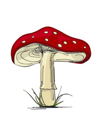 mantar amanita.