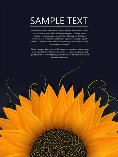 Sonnenblumen-Textkarte — Stockvektor