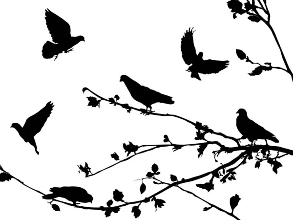 Siluetas de palomas 2 — Archivo Imágenes Vectoriales