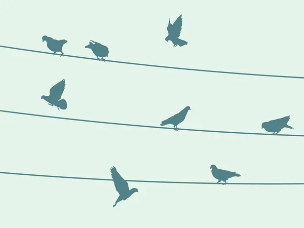 Oiseaux sur fil — Image vectorielle