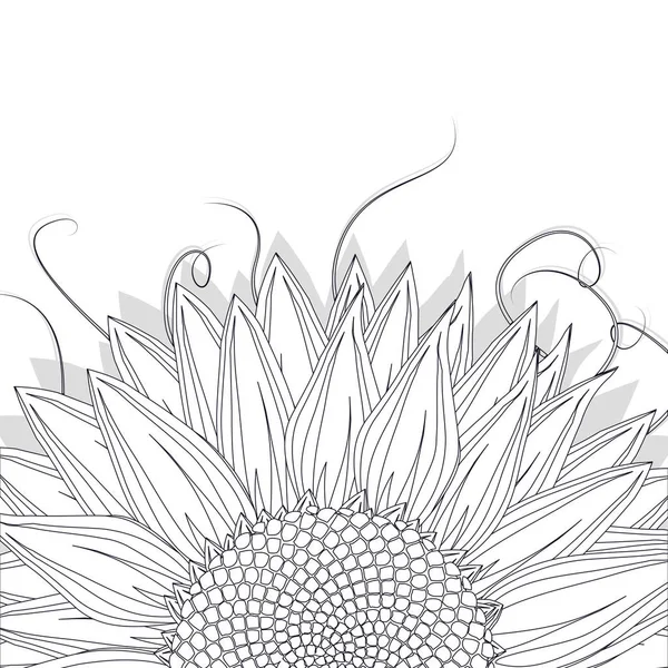 Sonnenblumenskizze — Stockvektor