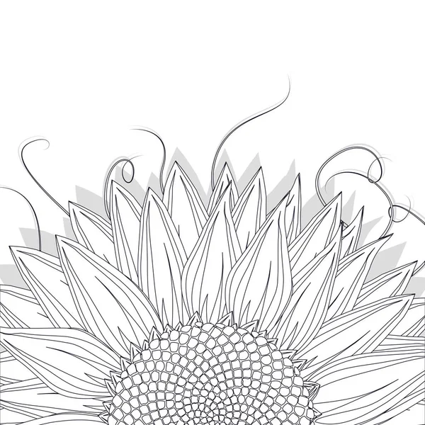 Esbozo de girasol — Vector de stock