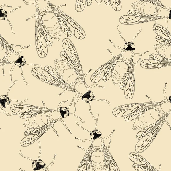 Modèle d'abeille — Image vectorielle