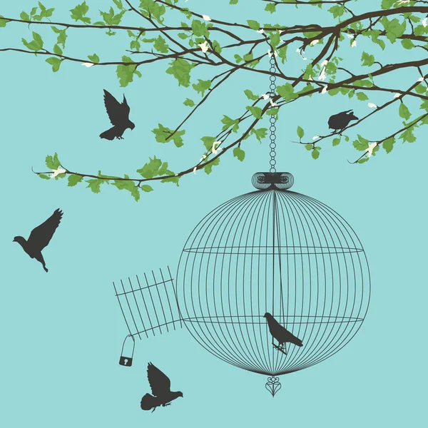 自由鸟 — 图库矢量图片