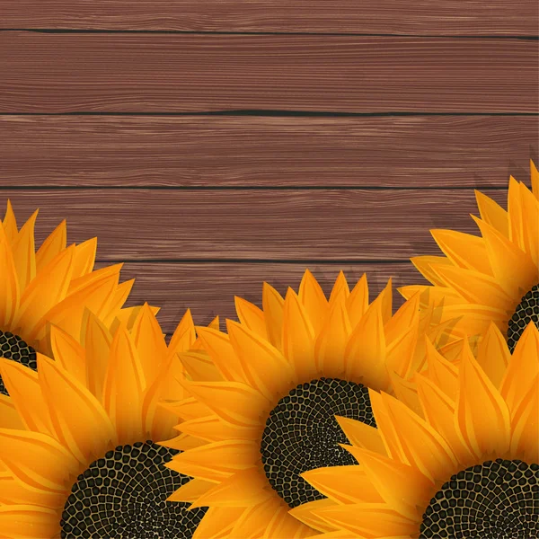 Bunga matahari - Stok Vektor